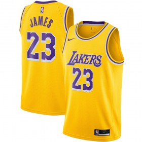 Camiseta Hombre NBA Los Angeles Lakers LeBron James 23 2020-21 Nike Icon Edition Swingman